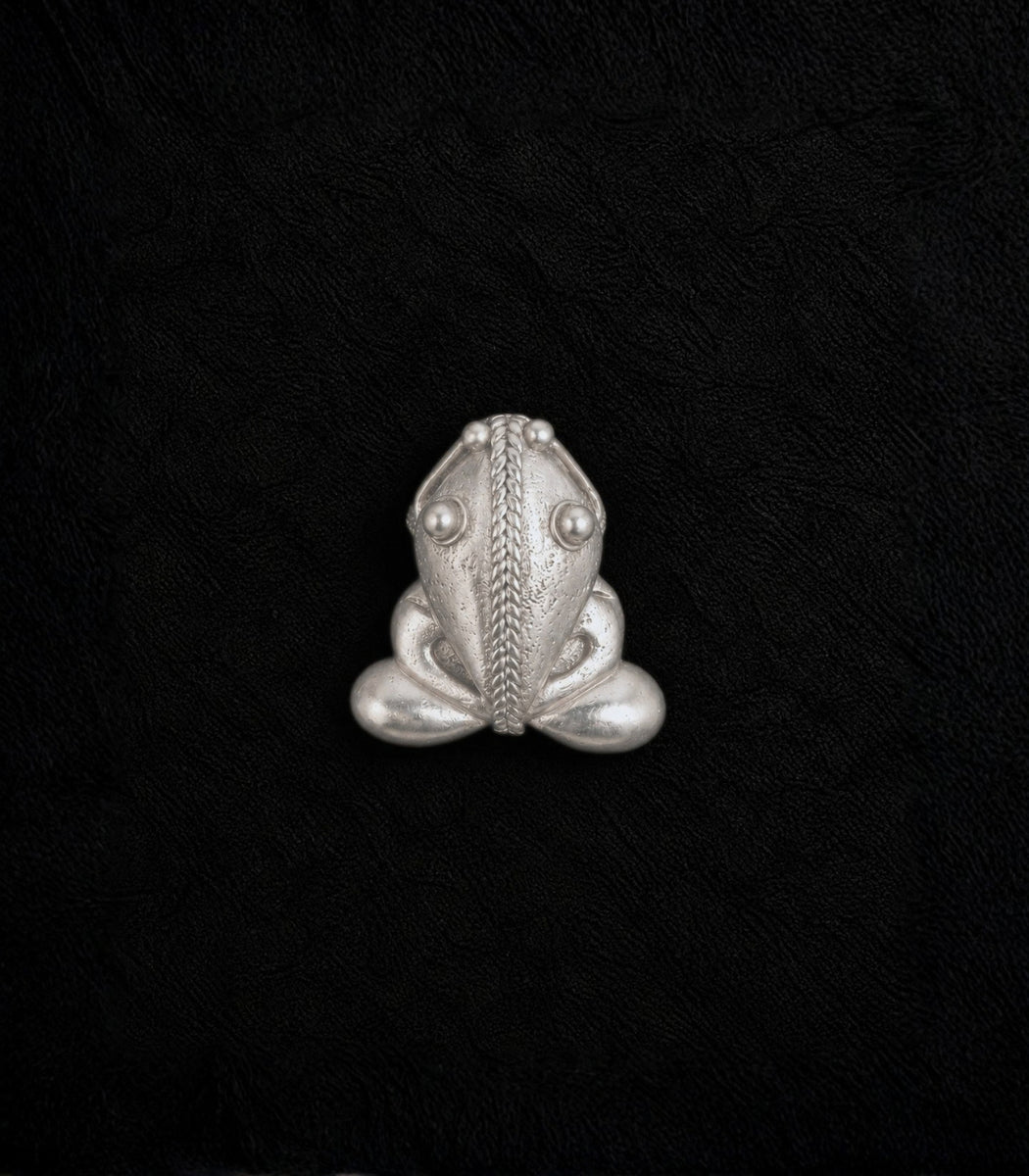A silver frog-shaped brooch with detailed textured engravings, centered on a textured black background.