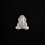A silver frog-shaped brooch with detailed textured engravings, centered on a textured black background.