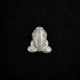 A silver frog-shaped brooch with detailed textured engravings, centered on a textured black background.