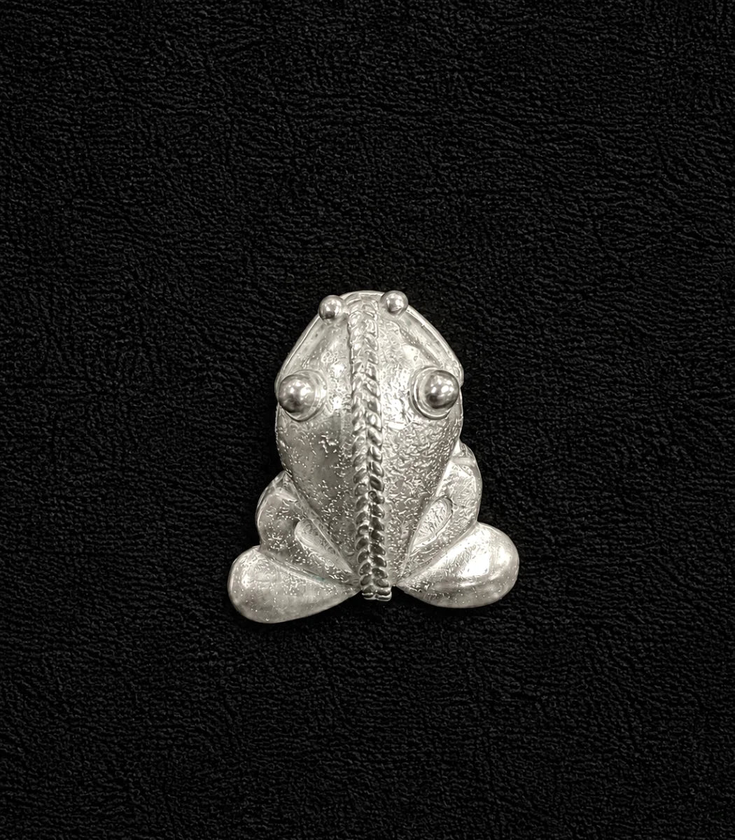 A small silver frog-shaped brooch or charm with textured details and raised eyes, centered on a black textured background.