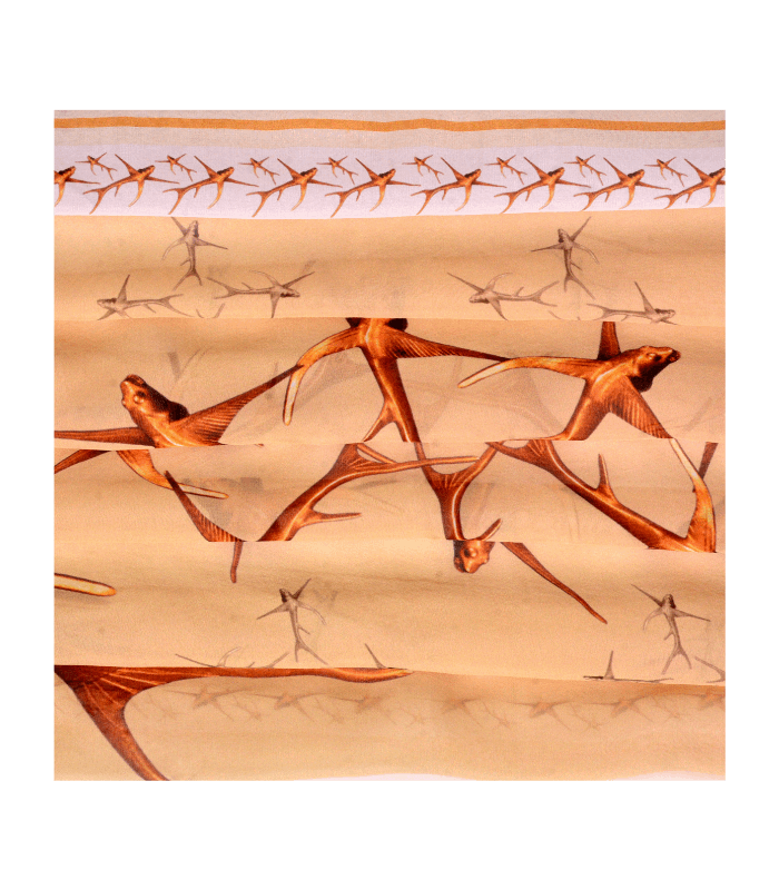 Pañoleta Desert Swallows